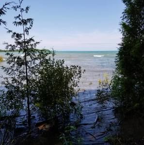 Meet your Posher, Lynn